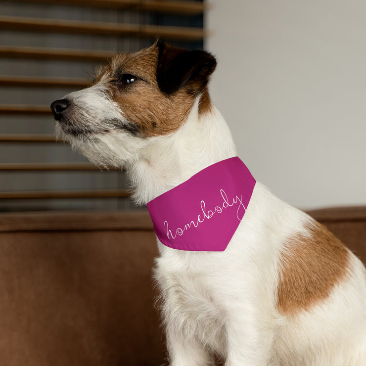 homebody - Pet Bandana Collar