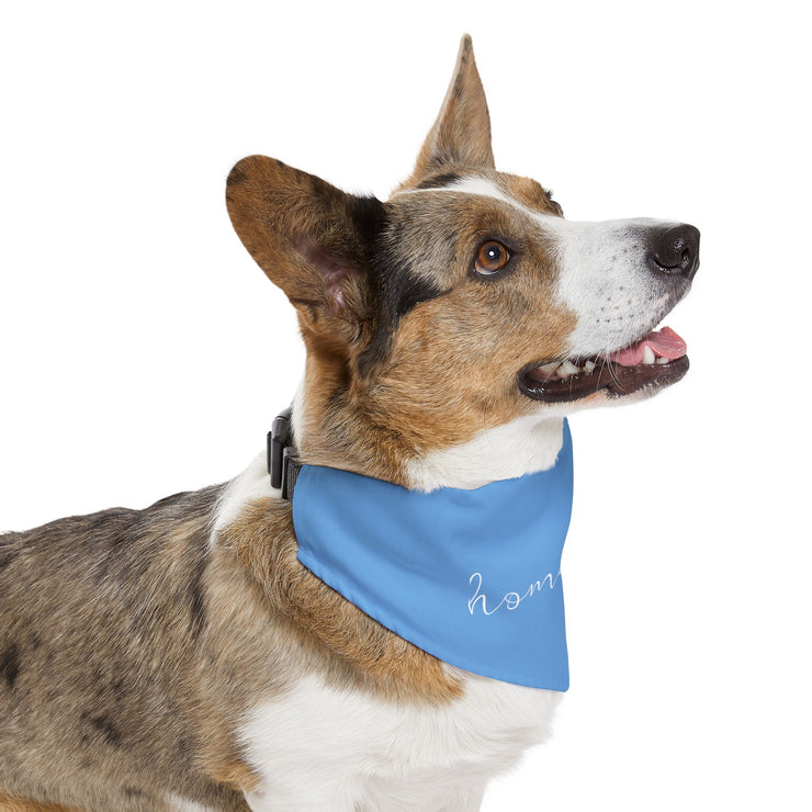 Homebody - Pet Bandana Collar