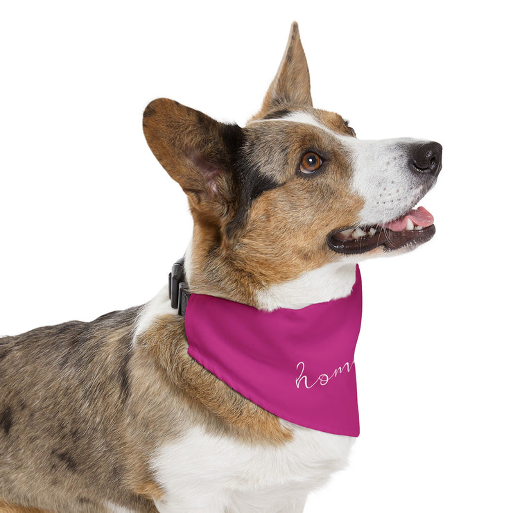 homebody - Pet Bandana Collar