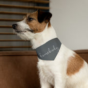 Homebody - Pet Bandana Collar