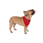 The Bradley Bunch Adventures x Kaia & Kash Holiday Pajamas Pet Bandana