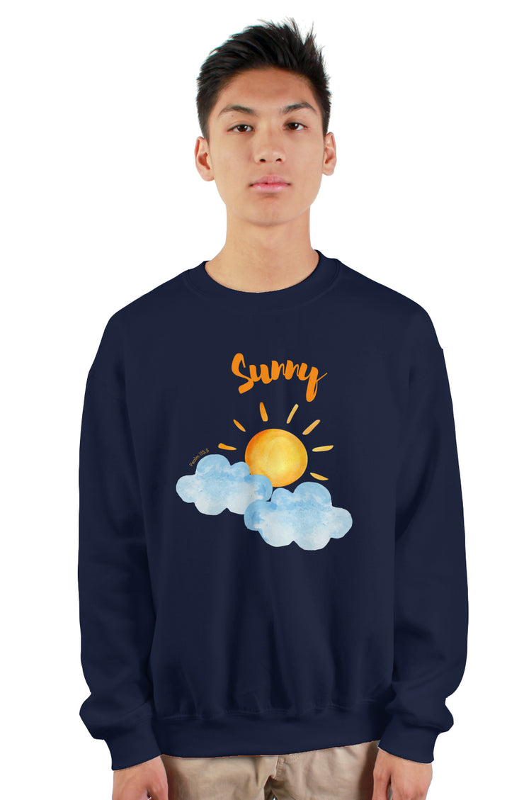 SUNNY - Sellers Dozen gildan heavy crewneck sweatshirt