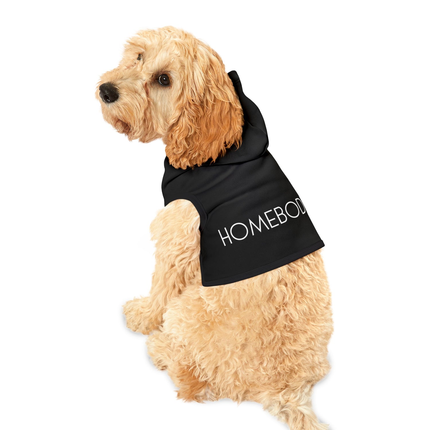 HOMEBODY - Pet Hoodie