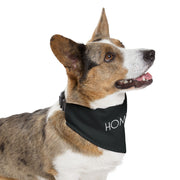 HOMEBODY - Black Pet Bandana Collar